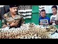Siliguri Forest Officer Raided A 4 Fit Leopard Tiger From Got Part Of Th...