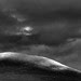 Sunlit Hill