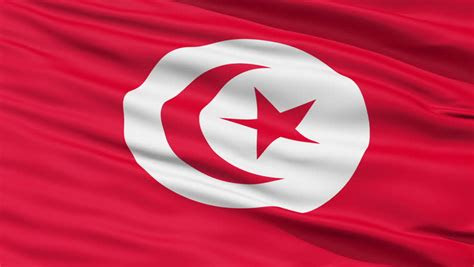 tunisia flag weneedfun