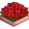 Heart Rose Bed