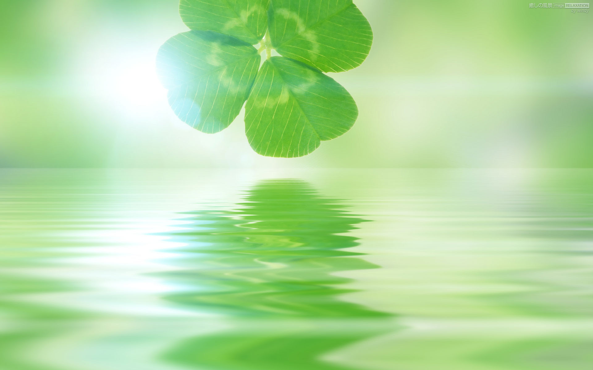 壁紙 無料 癒し