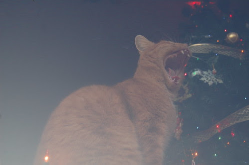 12-11-11 005
