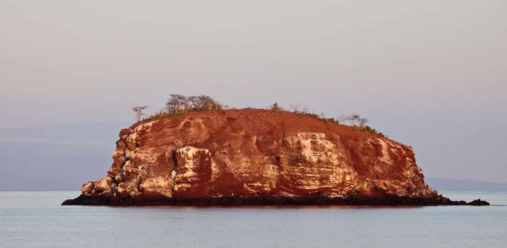 Galapagos Red lava in the early morning light