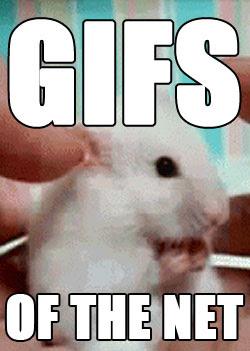 CHECK OUT MORE GIFS OF THE NET