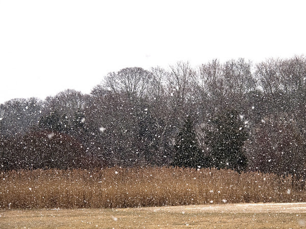 I love Winter