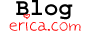 Blogerica.com