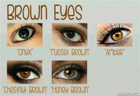  pin by cassy chester on eyes shades of brown eyes honey eyes color