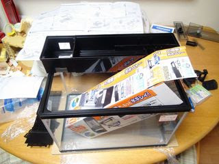 45cm水槽 上部フィルター導入 Blog Of Life With Aquarium