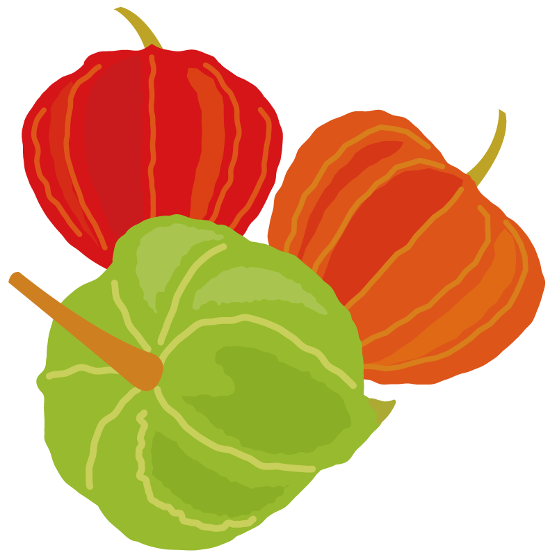 イラスト お盆 ほおずき 赤 緑 オレンジ 商用ok フリー素材集 ナイスなイラスト