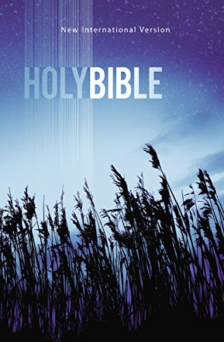 NIV, Outreach Bible, Paperback, Blue, by Biblica