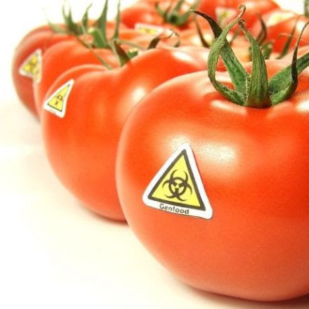 New Level: Monsanto Tries Patenting Natural Tomatoes