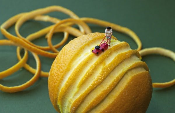 The Peeler
