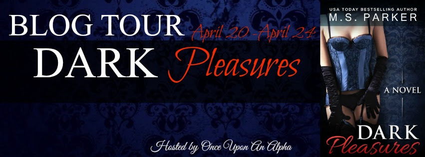 DarkPleasuresBTBanner