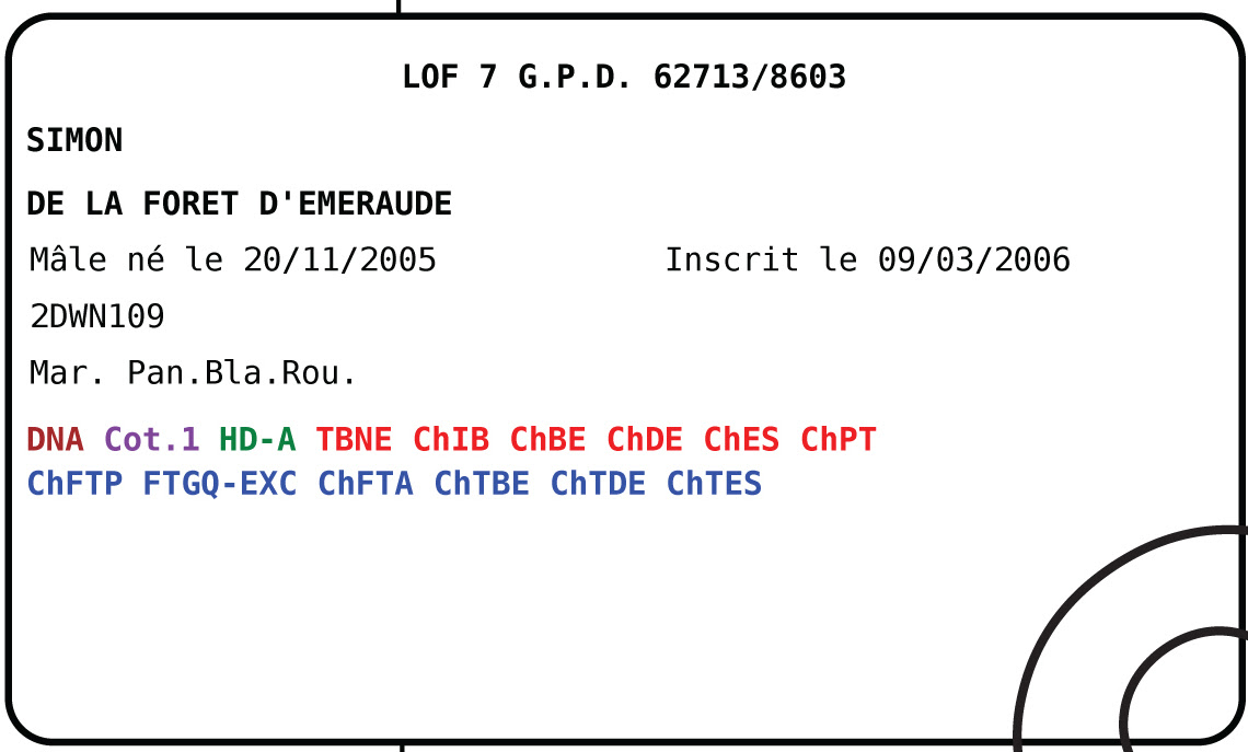 Infos utiles (chiens de race)