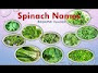 Keerai Varieties In Tamil With Images