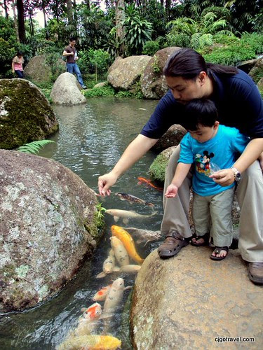 Japanese Garden Berjaya Hill Resort