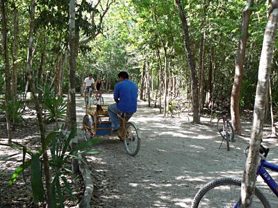 cyclo pousse.jpg
