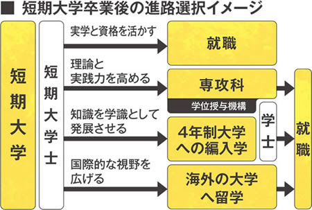 短期大学の魅力