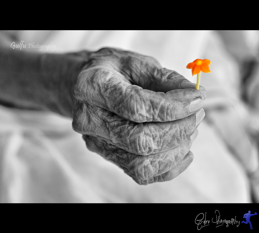 hand, black / white photography, orange, flower