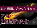 [無料ダウンロード！ √] メダカ ブラックリム 128317-ブラックリム メダカ 値段