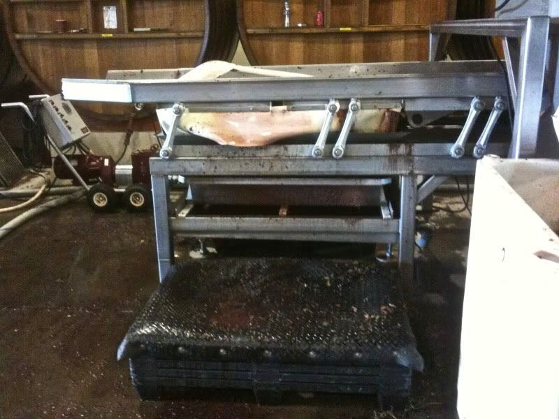 harvest wine grapes danger sonoma winery intern