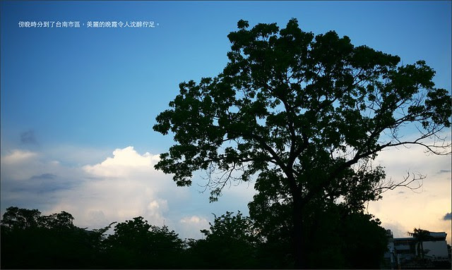 20110512007-IMG_5829