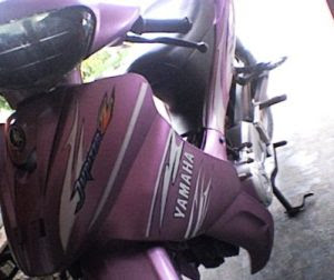 Pinky Jupie...