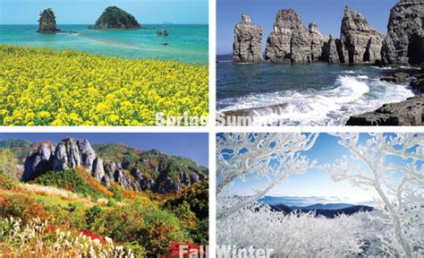 hancinema koreas diary living  korea  peeves