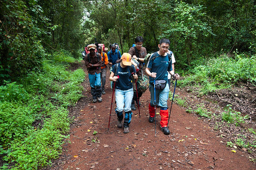 Kilimanjaro 007