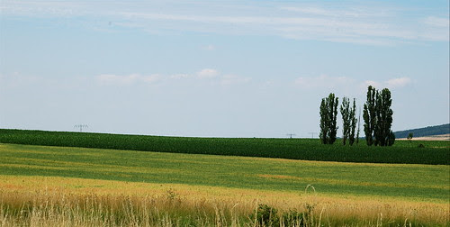 Summer in Weimar - The beauty