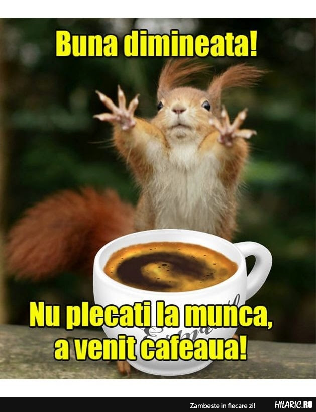 Hilaric Ro Zambeste In Fiecare Zi Cel Mai Bun Site De Bancuri