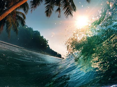 Find quality breakfast products to add to your . Waves Sea Ocean Beach Palm Trees Summer Wallpaper