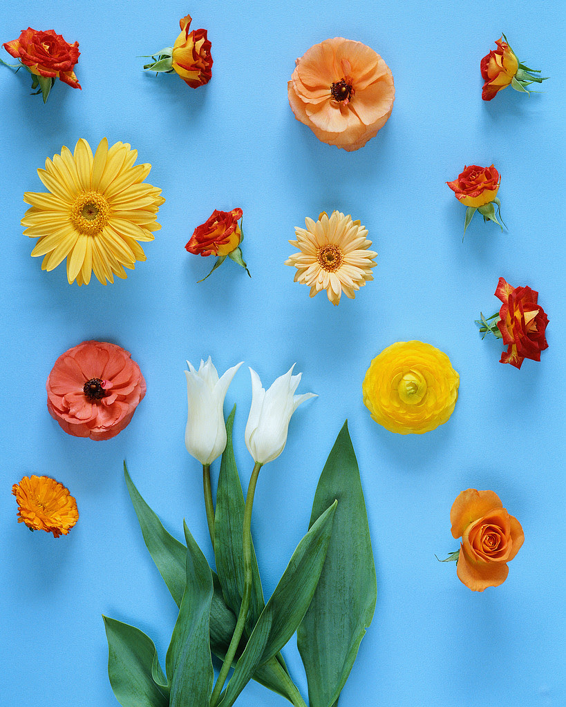 Holistic Color アロマカラーズ