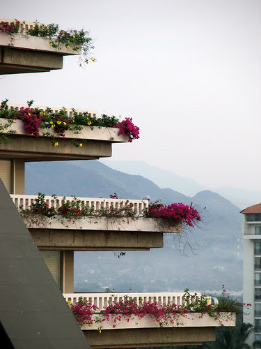 Sierra Madre Occidental
