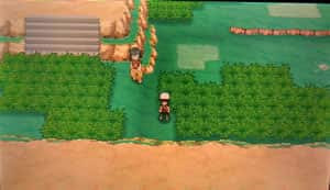 ポケモンサーチで色違い 隠れ特性を狙うコツ 連鎖方法まとめ Oras攻略de Com