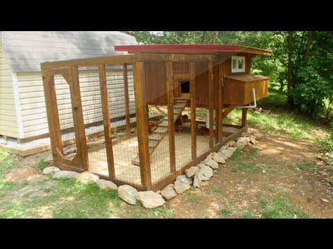Escuchar Backyard chickens - Chicken coop tour- Easy to clean 