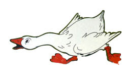 Kép