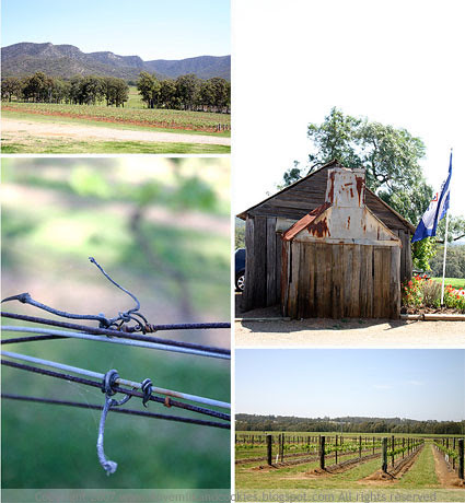 The-Vineyards.jpg