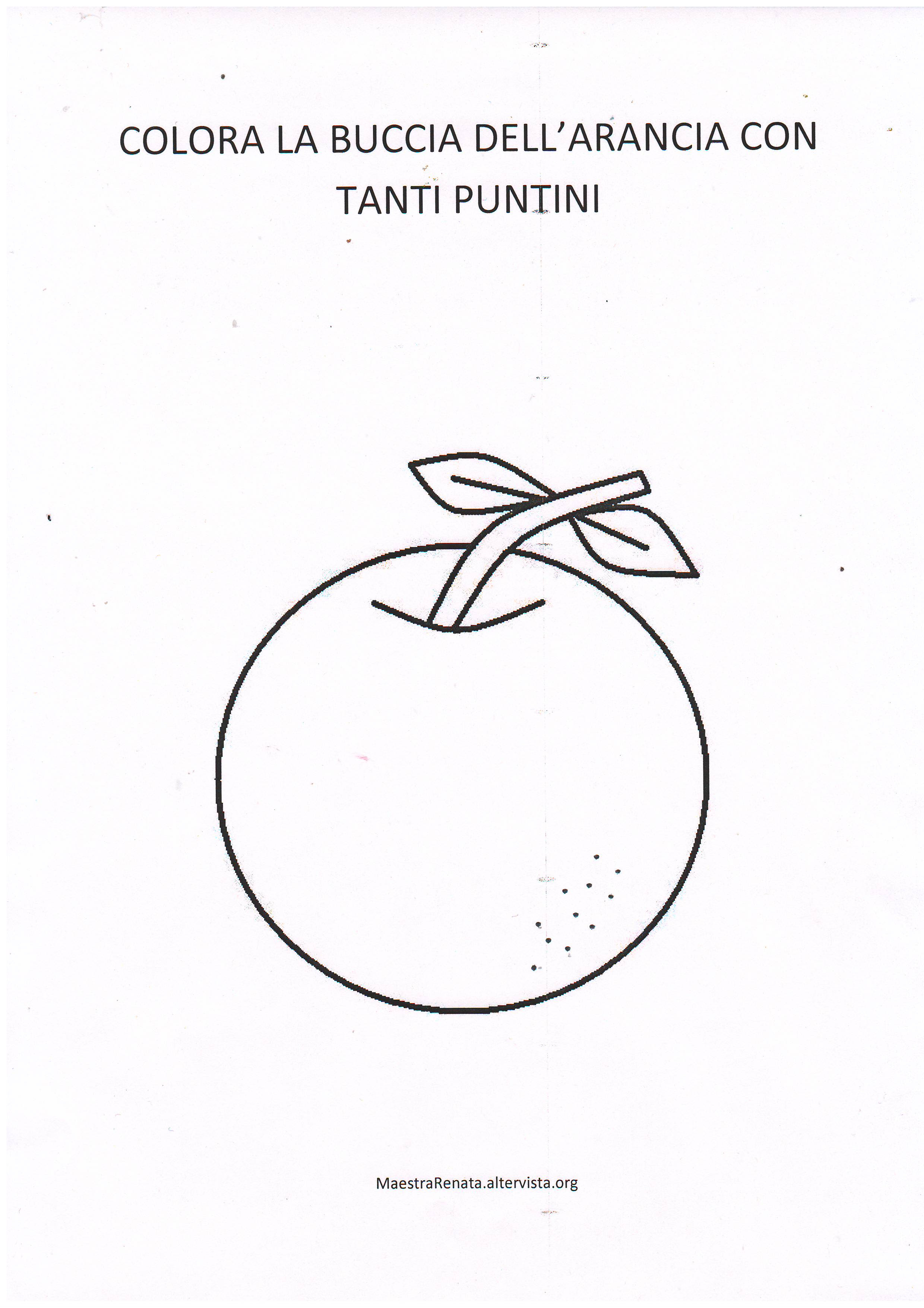 DISEGNA LA BUCCIA DELL ARANCIA CON TANTI PUNTINI DI COLORE ARANCIONE …