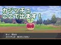70以上 カジッチュ 進化させ方 719814-カジッチュ 進化させ方