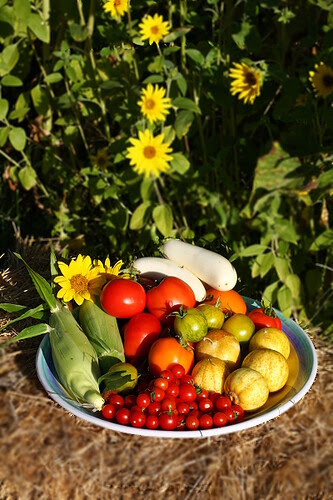 Veggies from Vegan Garden