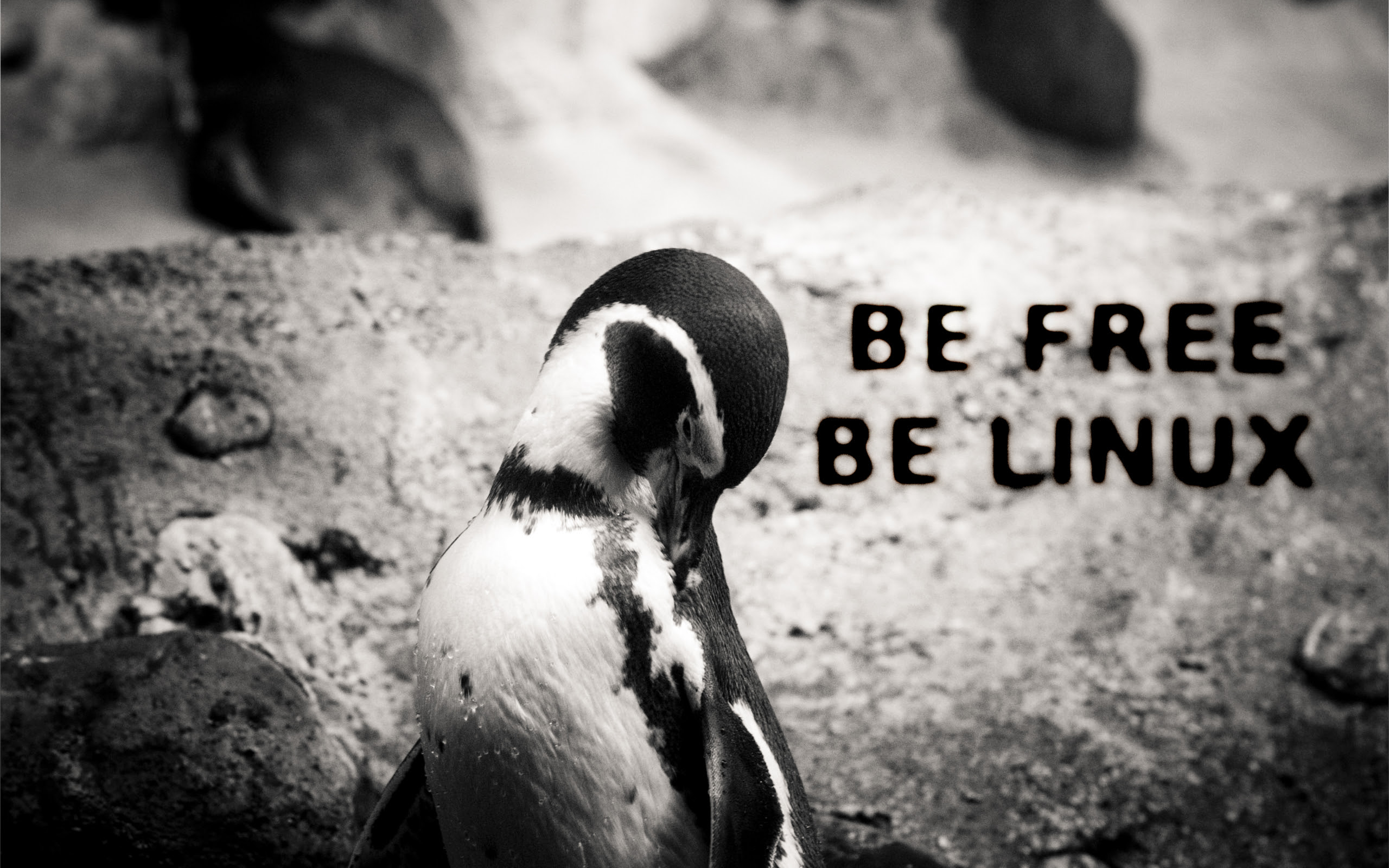 Linux Technology Wallpaper