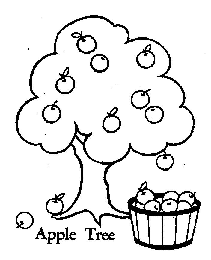 Download Apple Tree Pictures To Color - Coloring Home