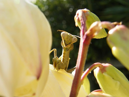 DSCF0581