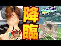 ポケモンgo エンテイ 個体�� 304652-ポケモンgo エンテイ 個体値