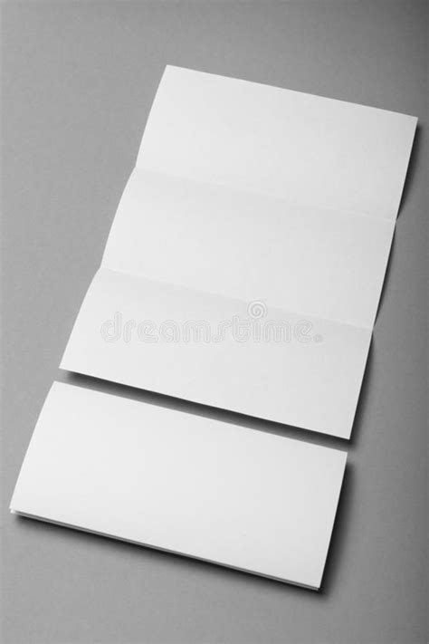 Brochure Booklet Z Fold Layout Editable Design T Stock