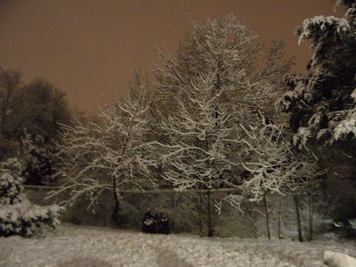 Dec. 28 at 10PM