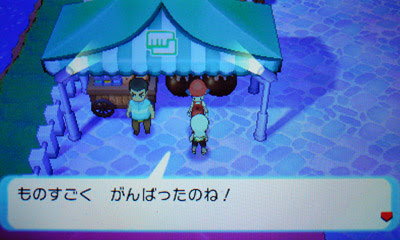 努力値を上げる手順 群れバトル ポケモン情報ねっと