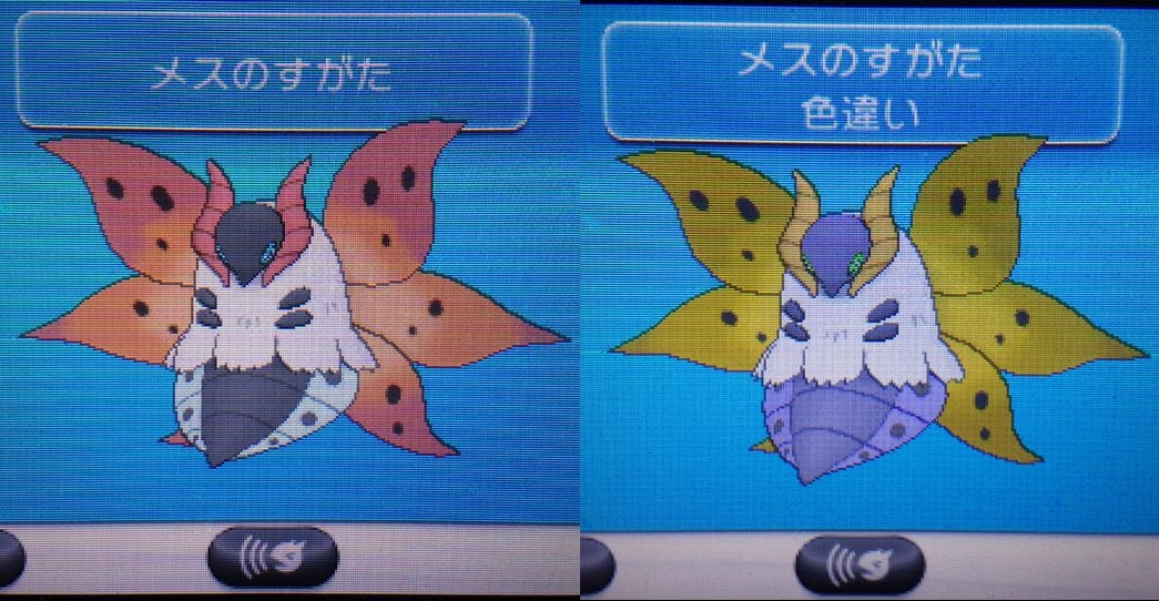 色違い ウルガモス 迷犬ぽちのあしあと