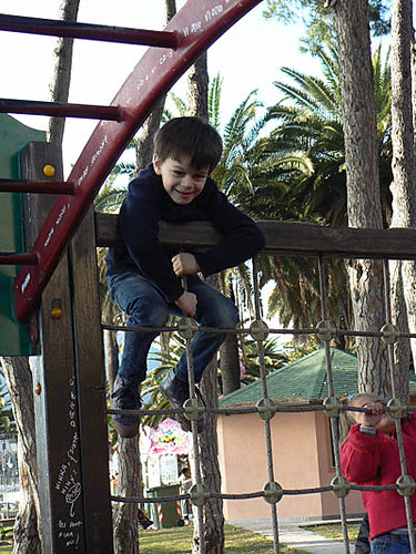 petit singe